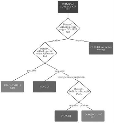 Clostridioides difficile Infection in Children: A 5-Year Multicenter Retrospective Study